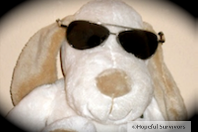 infodogghswm